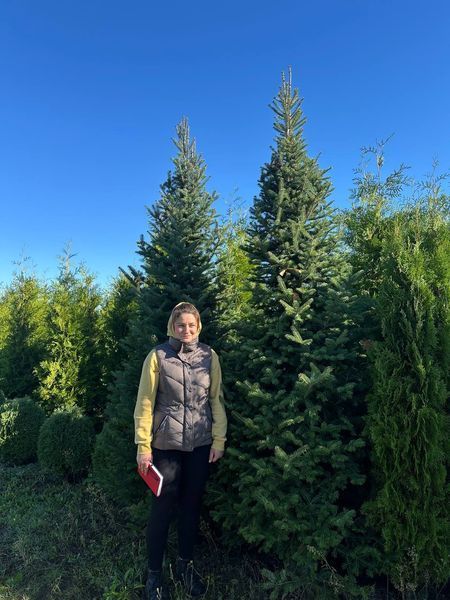 Ялиця бальзамічна (Abies balsamea) ЯБ2025 140 см фото